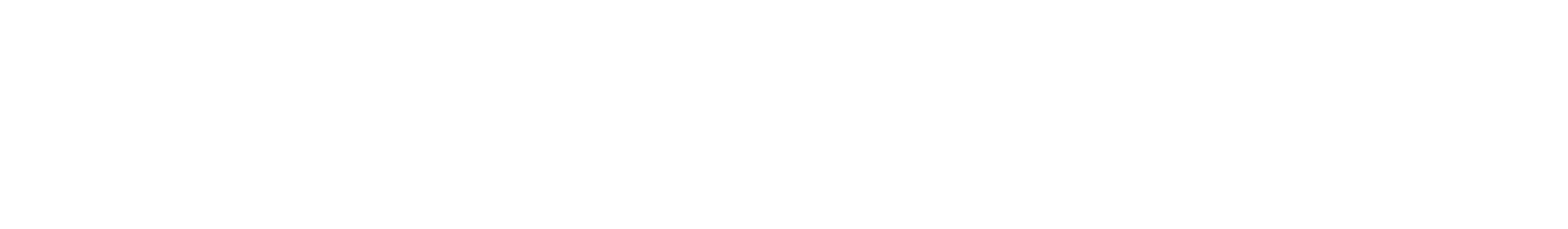 entersoftone_logo_w